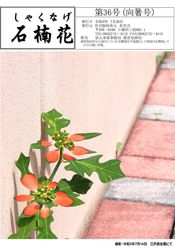 7月　向夏号
