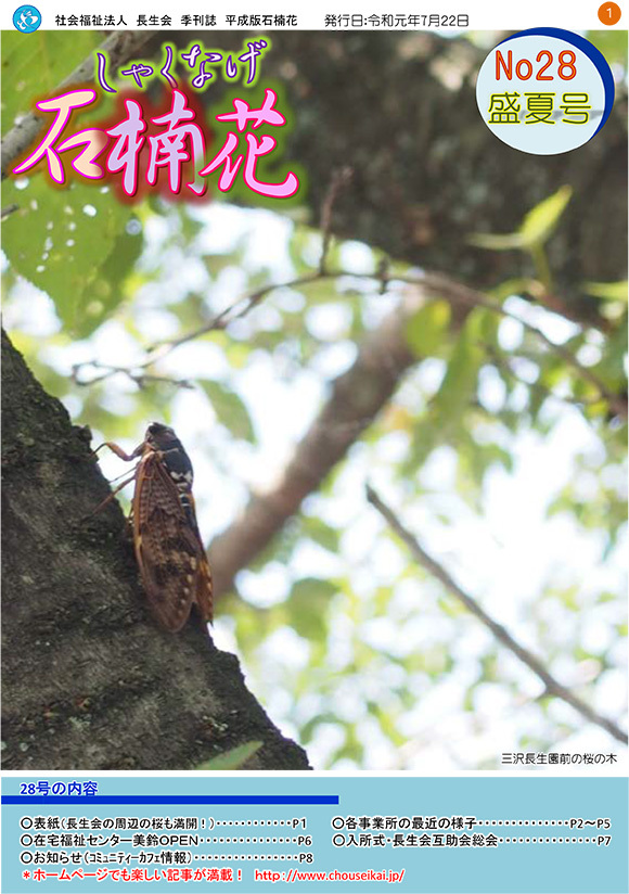 盛夏号